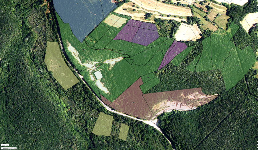 cadastre.png cadastre.png